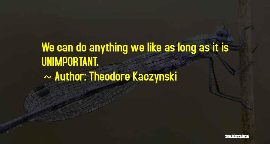 Theodore Kaczynski Quotes: We Can Do Anything We Like As Long As It Is Unimportant.