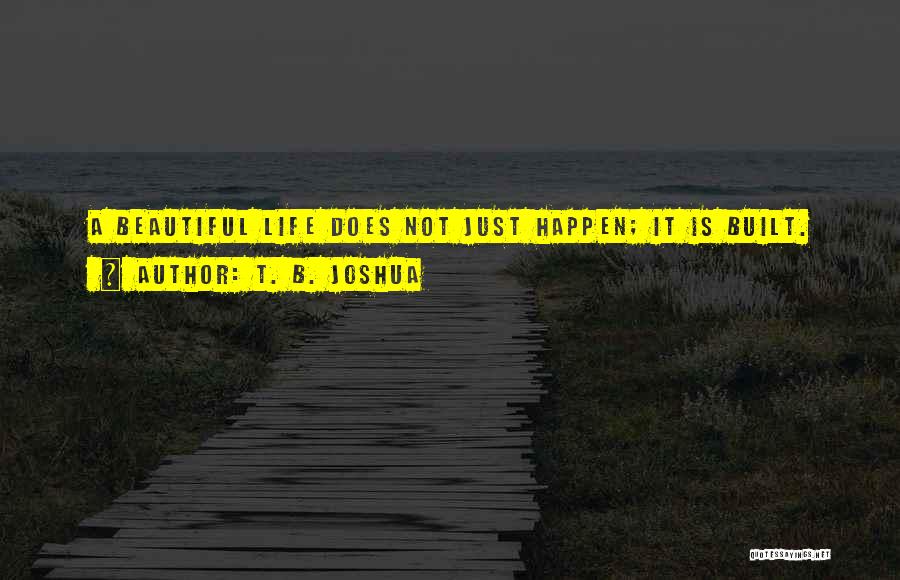 T. B. Joshua Quotes: A Beautiful Life Does Not Just Happen; It Is Built.
