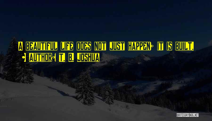 T. B. Joshua Quotes: A Beautiful Life Does Not Just Happen; It Is Built.
