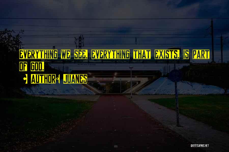 Juanes Quotes: Everything We See, Everything That Exists, Is Part Of God.