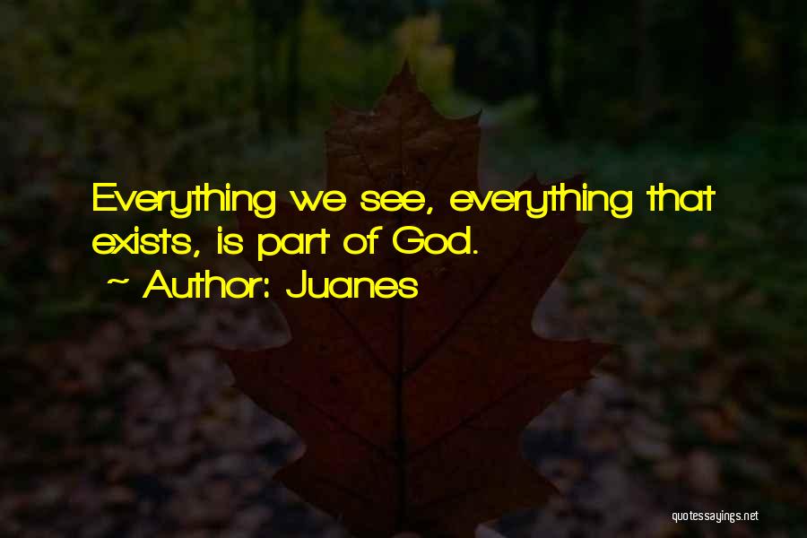 Juanes Quotes: Everything We See, Everything That Exists, Is Part Of God.