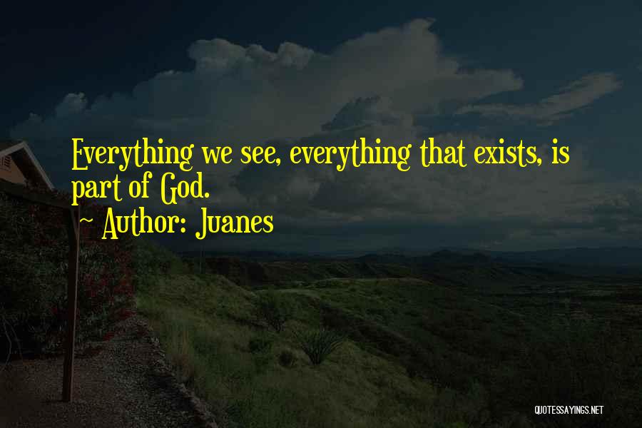 Juanes Quotes: Everything We See, Everything That Exists, Is Part Of God.