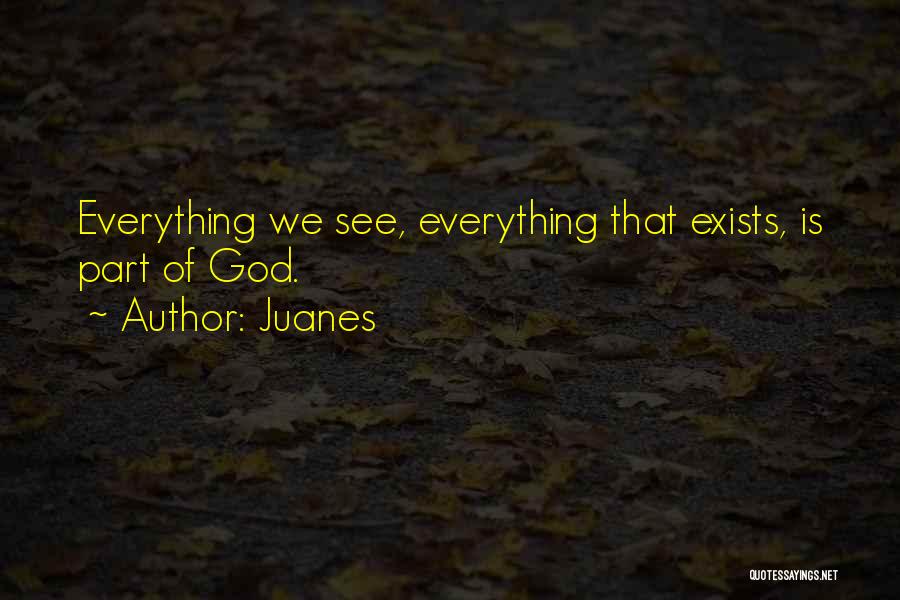 Juanes Quotes: Everything We See, Everything That Exists, Is Part Of God.