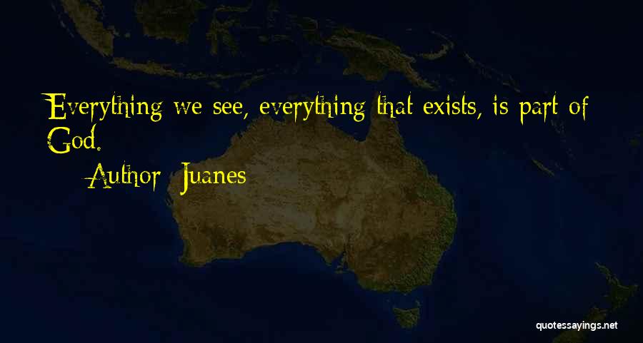 Juanes Quotes: Everything We See, Everything That Exists, Is Part Of God.