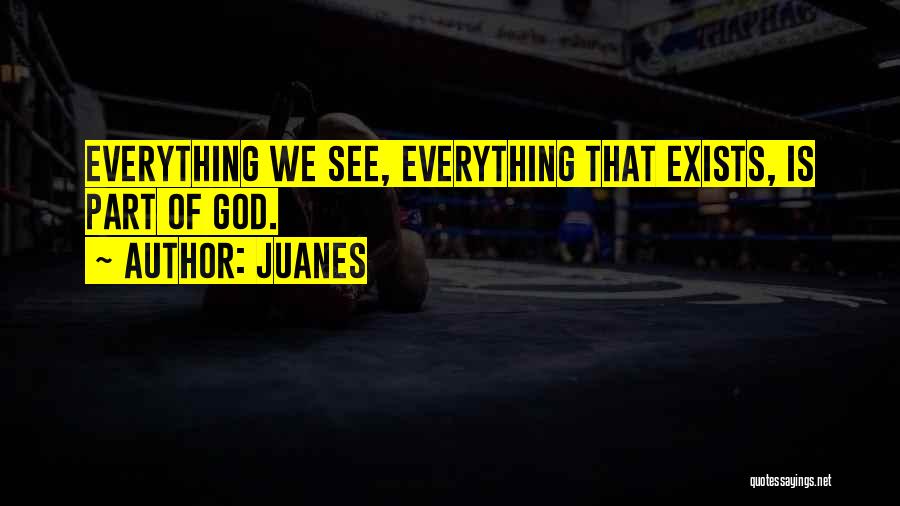 Juanes Quotes: Everything We See, Everything That Exists, Is Part Of God.