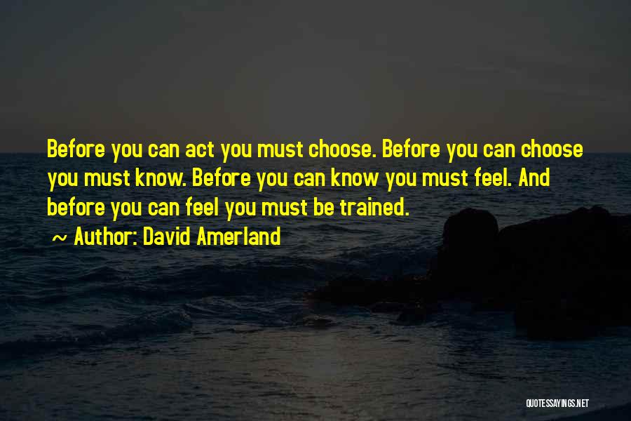 David Amerland Quotes: Before You Can Act You Must Choose. Before You Can Choose You Must Know. Before You Can Know You Must