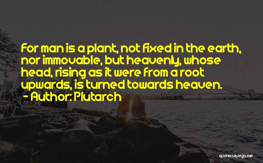 Plutarch Quotes: For Man Is A Plant, Not Fixed In The Earth, Nor Immovable, But Heavenly, Whose Head, Rising As It Were