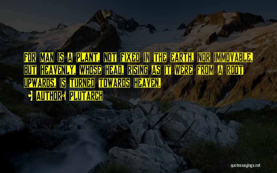 Plutarch Quotes: For Man Is A Plant, Not Fixed In The Earth, Nor Immovable, But Heavenly, Whose Head, Rising As It Were
