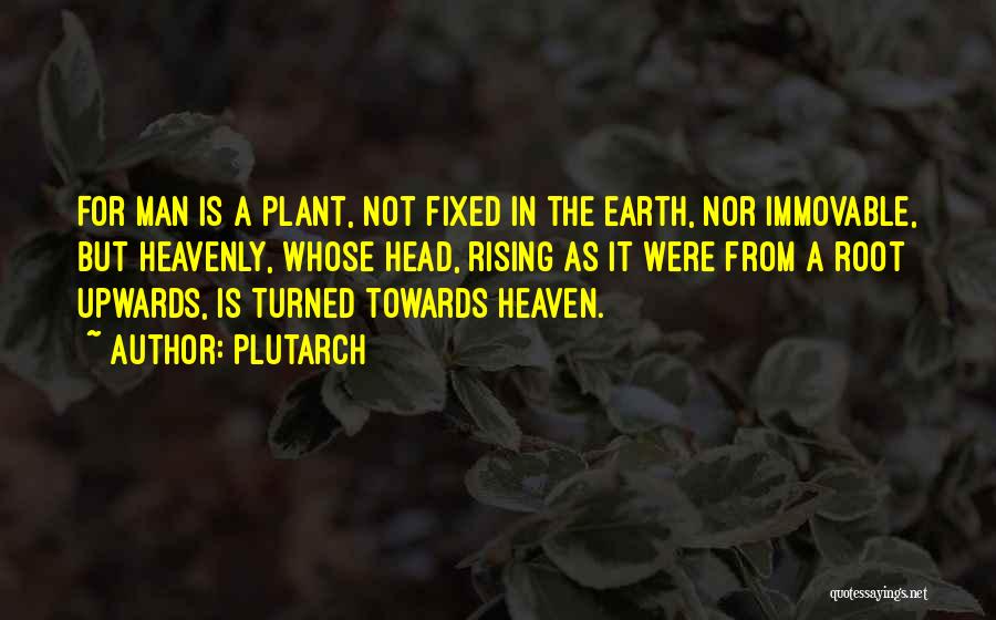Plutarch Quotes: For Man Is A Plant, Not Fixed In The Earth, Nor Immovable, But Heavenly, Whose Head, Rising As It Were