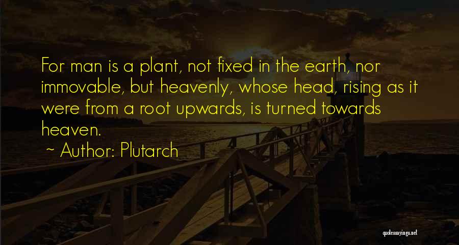 Plutarch Quotes: For Man Is A Plant, Not Fixed In The Earth, Nor Immovable, But Heavenly, Whose Head, Rising As It Were