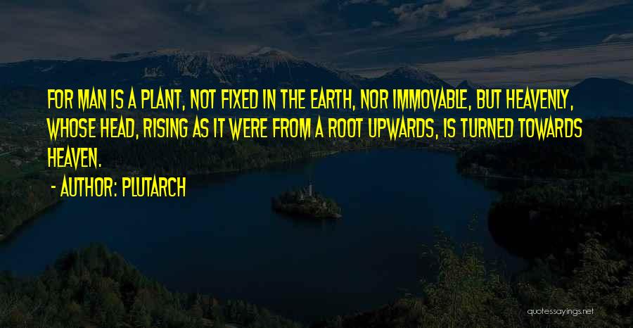 Plutarch Quotes: For Man Is A Plant, Not Fixed In The Earth, Nor Immovable, But Heavenly, Whose Head, Rising As It Were
