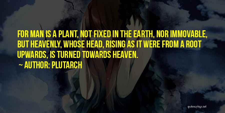 Plutarch Quotes: For Man Is A Plant, Not Fixed In The Earth, Nor Immovable, But Heavenly, Whose Head, Rising As It Were