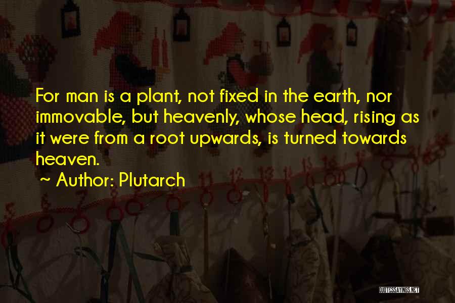 Plutarch Quotes: For Man Is A Plant, Not Fixed In The Earth, Nor Immovable, But Heavenly, Whose Head, Rising As It Were