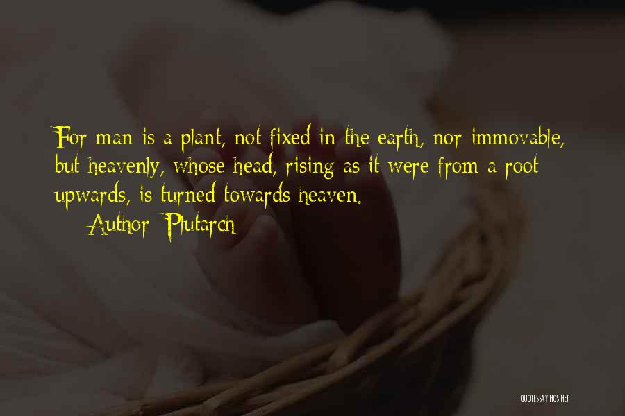 Plutarch Quotes: For Man Is A Plant, Not Fixed In The Earth, Nor Immovable, But Heavenly, Whose Head, Rising As It Were