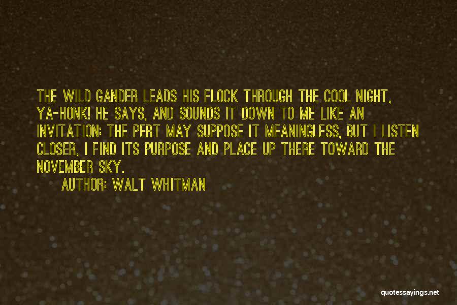 Walt Whitman Quotes: The Wild Gander Leads His Flock Through The Cool Night, Ya-honk! He Says, And Sounds It Down To Me Like