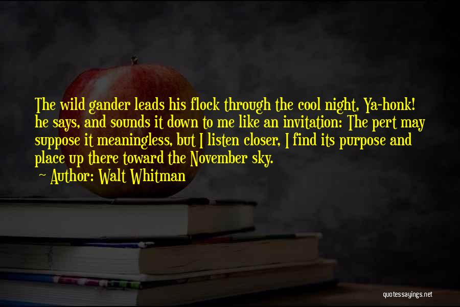 Walt Whitman Quotes: The Wild Gander Leads His Flock Through The Cool Night, Ya-honk! He Says, And Sounds It Down To Me Like