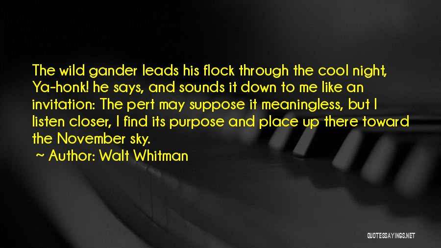 Walt Whitman Quotes: The Wild Gander Leads His Flock Through The Cool Night, Ya-honk! He Says, And Sounds It Down To Me Like