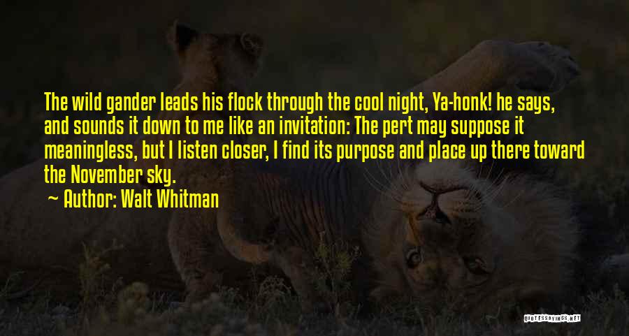 Walt Whitman Quotes: The Wild Gander Leads His Flock Through The Cool Night, Ya-honk! He Says, And Sounds It Down To Me Like