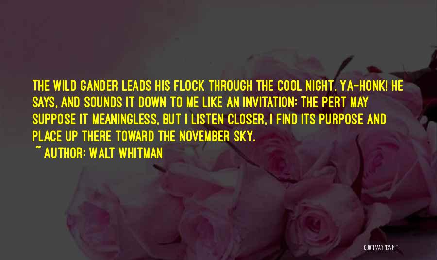 Walt Whitman Quotes: The Wild Gander Leads His Flock Through The Cool Night, Ya-honk! He Says, And Sounds It Down To Me Like