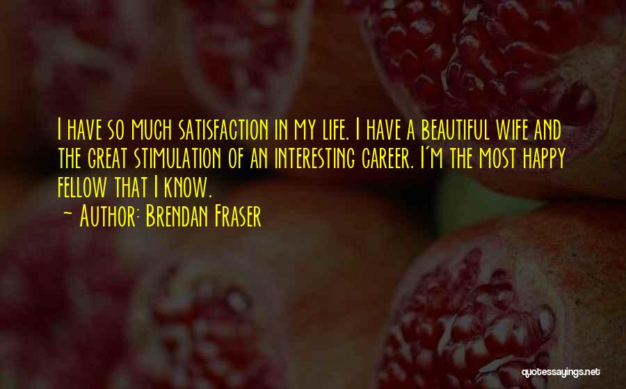 Brendan Fraser Quotes: I Have So Much Satisfaction In My Life. I Have A Beautiful Wife And The Great Stimulation Of An Interesting