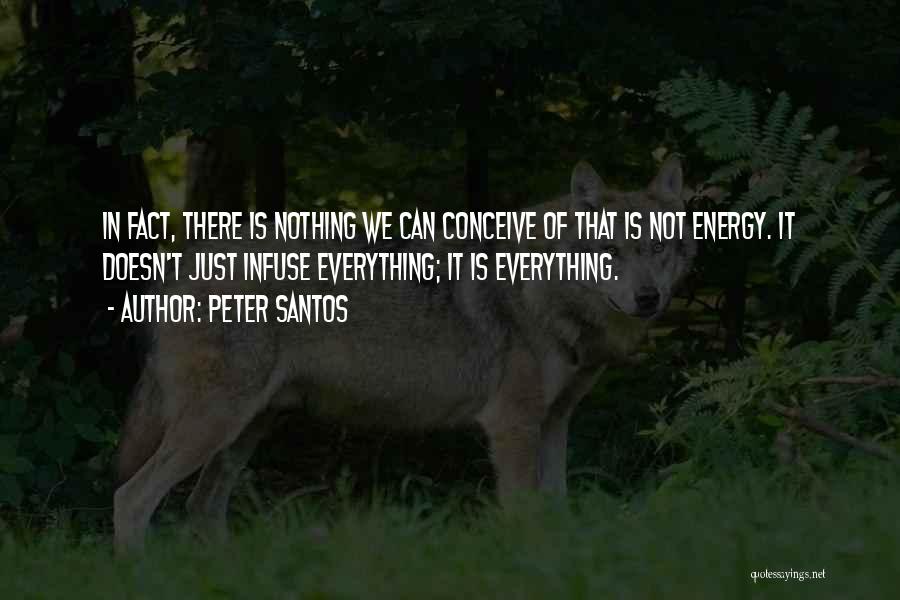 Peter Santos Quotes: In Fact, There Is Nothing We Can Conceive Of That Is Not Energy. It Doesn't Just Infuse Everything; It Is