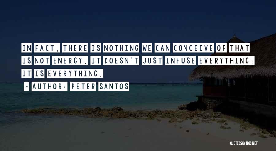 Peter Santos Quotes: In Fact, There Is Nothing We Can Conceive Of That Is Not Energy. It Doesn't Just Infuse Everything; It Is