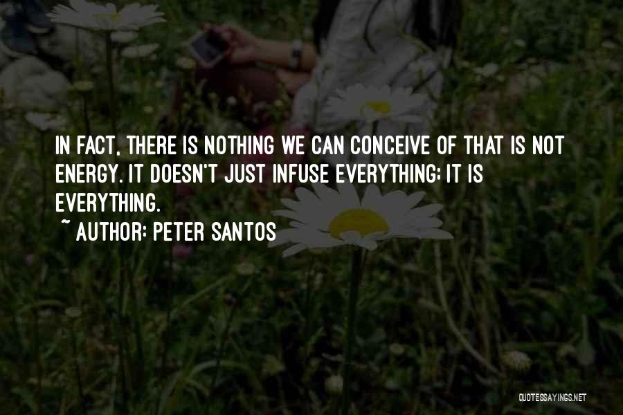 Peter Santos Quotes: In Fact, There Is Nothing We Can Conceive Of That Is Not Energy. It Doesn't Just Infuse Everything; It Is