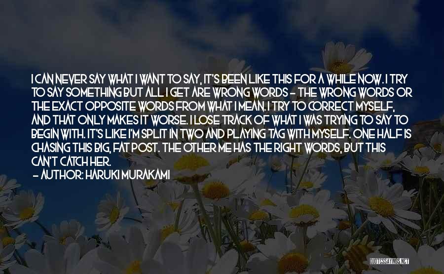 Haruki Murakami Quotes: I Can Never Say What I Want To Say, It's Been Like This For A While Now. I Try To