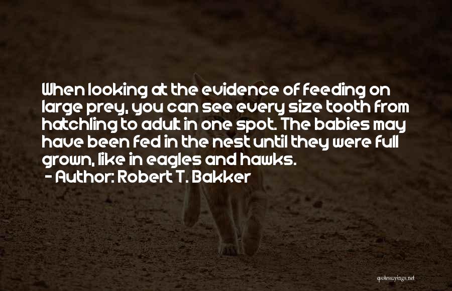 Robert T. Bakker Quotes: When Looking At The Evidence Of Feeding On Large Prey, You Can See Every Size Tooth From Hatchling To Adult