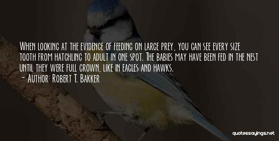 Robert T. Bakker Quotes: When Looking At The Evidence Of Feeding On Large Prey, You Can See Every Size Tooth From Hatchling To Adult