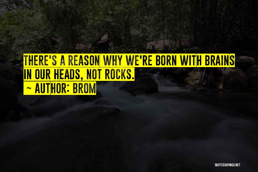 Brom Quotes: There's A Reason Why We're Born With Brains In Our Heads, Not Rocks.