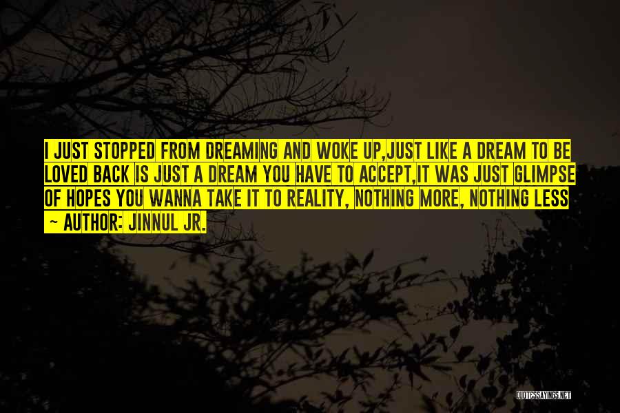 Jinnul Jr. Quotes: I Just Stopped From Dreaming And Woke Up,just Like A Dream To Be Loved Back Is Just A Dream You