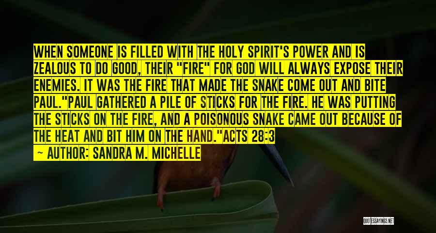Sandra M. Michelle Quotes: When Someone Is Filled With The Holy Spirit's Power And Is Zealous To Do Good, Their Fire For God Will