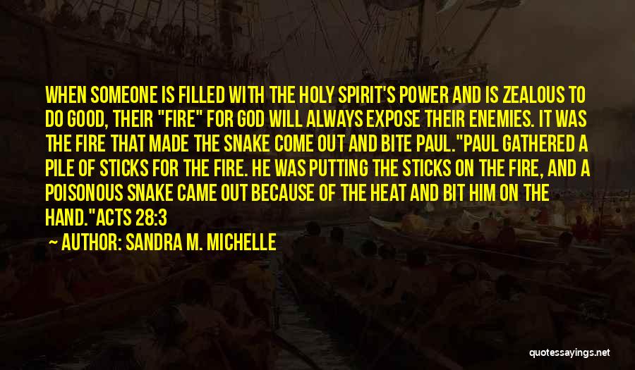 Sandra M. Michelle Quotes: When Someone Is Filled With The Holy Spirit's Power And Is Zealous To Do Good, Their Fire For God Will