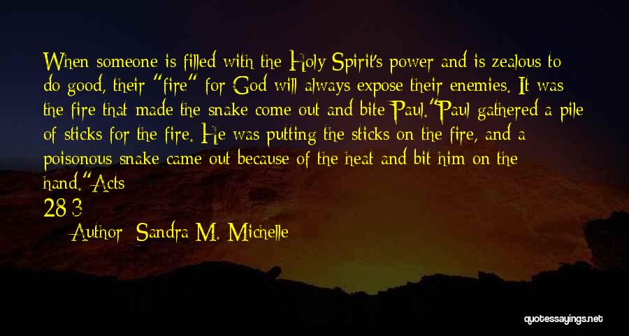 Sandra M. Michelle Quotes: When Someone Is Filled With The Holy Spirit's Power And Is Zealous To Do Good, Their Fire For God Will