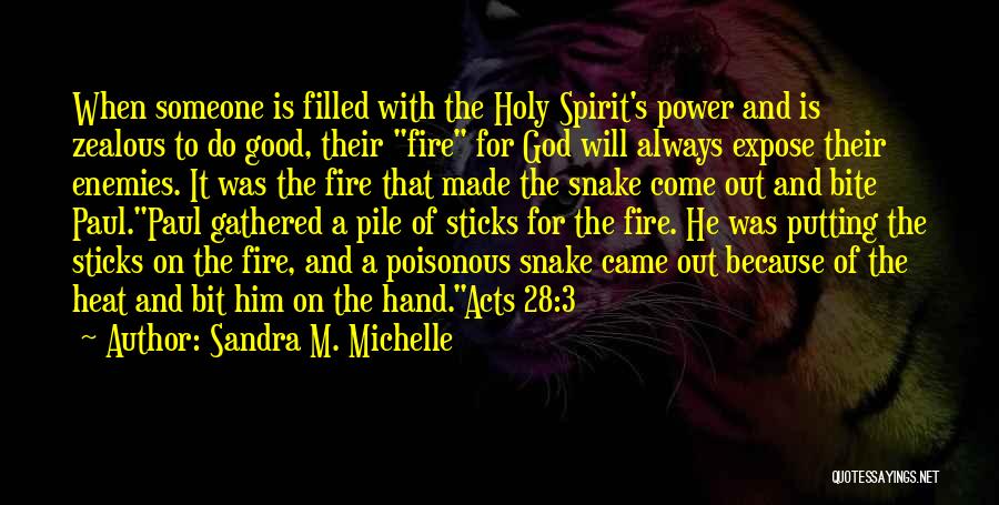 Sandra M. Michelle Quotes: When Someone Is Filled With The Holy Spirit's Power And Is Zealous To Do Good, Their Fire For God Will