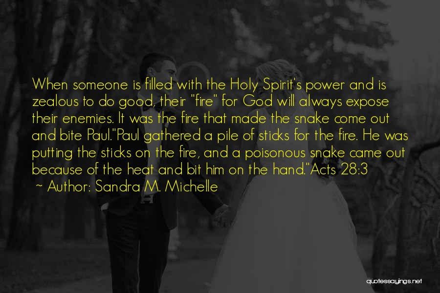 Sandra M. Michelle Quotes: When Someone Is Filled With The Holy Spirit's Power And Is Zealous To Do Good, Their Fire For God Will