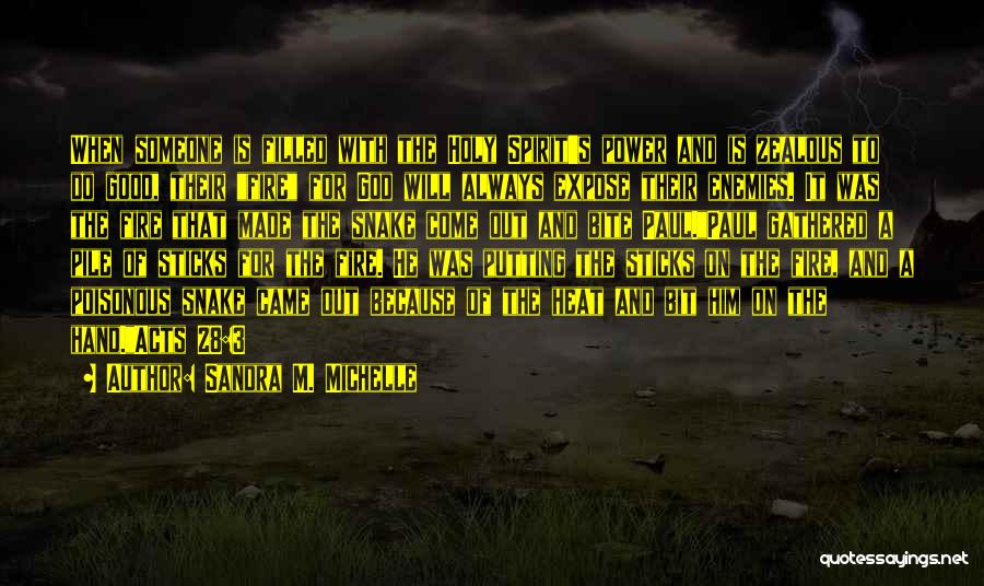 Sandra M. Michelle Quotes: When Someone Is Filled With The Holy Spirit's Power And Is Zealous To Do Good, Their Fire For God Will