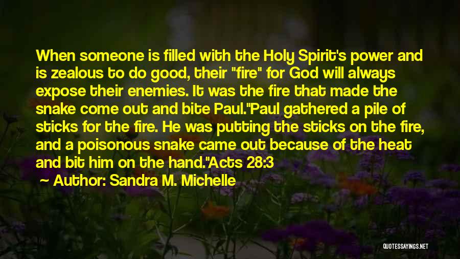 Sandra M. Michelle Quotes: When Someone Is Filled With The Holy Spirit's Power And Is Zealous To Do Good, Their Fire For God Will