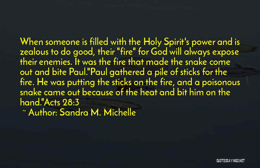 Sandra M. Michelle Quotes: When Someone Is Filled With The Holy Spirit's Power And Is Zealous To Do Good, Their Fire For God Will