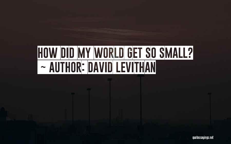 David Levithan Quotes: How Did My World Get So Small?