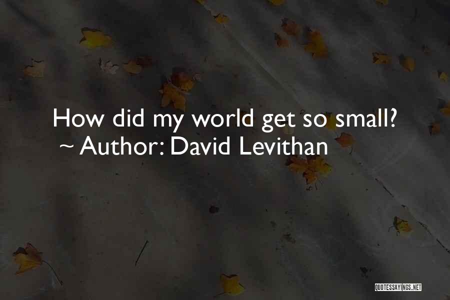 David Levithan Quotes: How Did My World Get So Small?