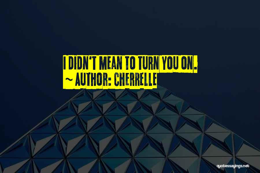 Cherrelle Quotes: I Didn't Mean To Turn You On.