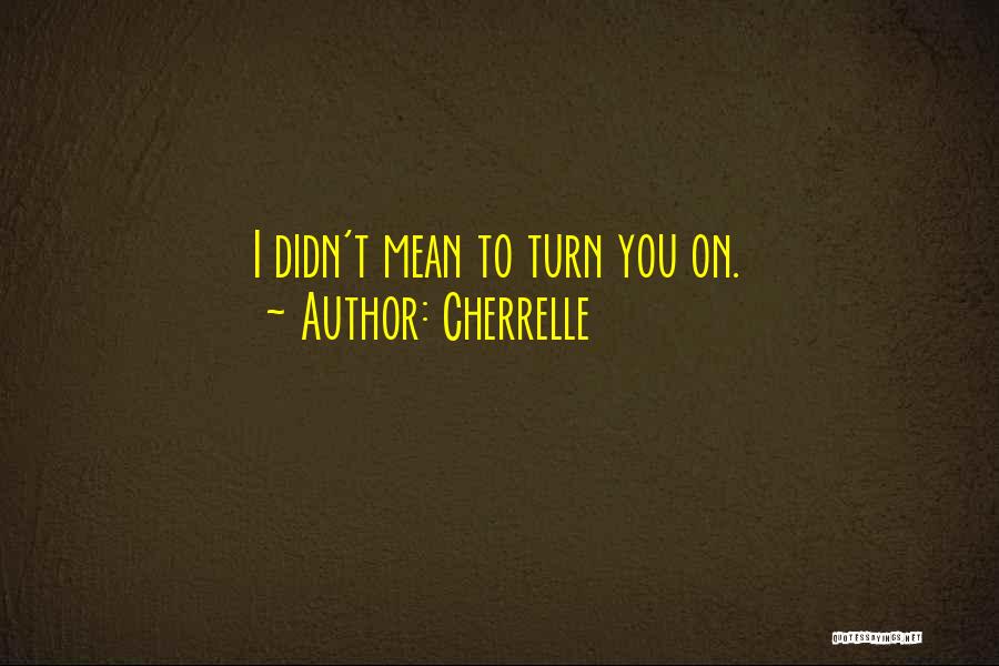 Cherrelle Quotes: I Didn't Mean To Turn You On.