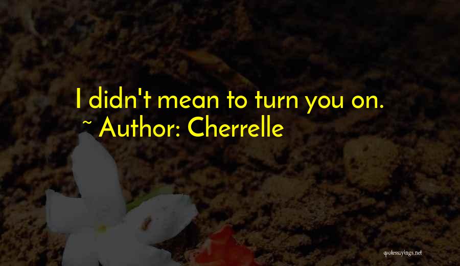 Cherrelle Quotes: I Didn't Mean To Turn You On.