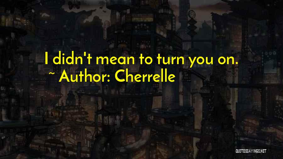 Cherrelle Quotes: I Didn't Mean To Turn You On.