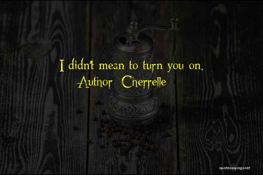 Cherrelle Quotes: I Didn't Mean To Turn You On.