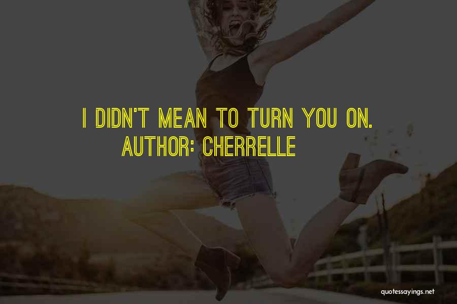 Cherrelle Quotes: I Didn't Mean To Turn You On.