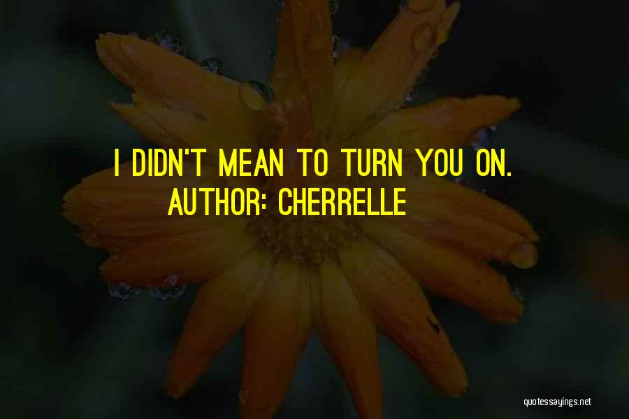 Cherrelle Quotes: I Didn't Mean To Turn You On.