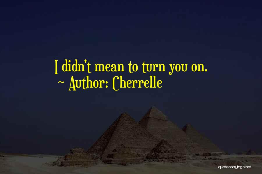 Cherrelle Quotes: I Didn't Mean To Turn You On.